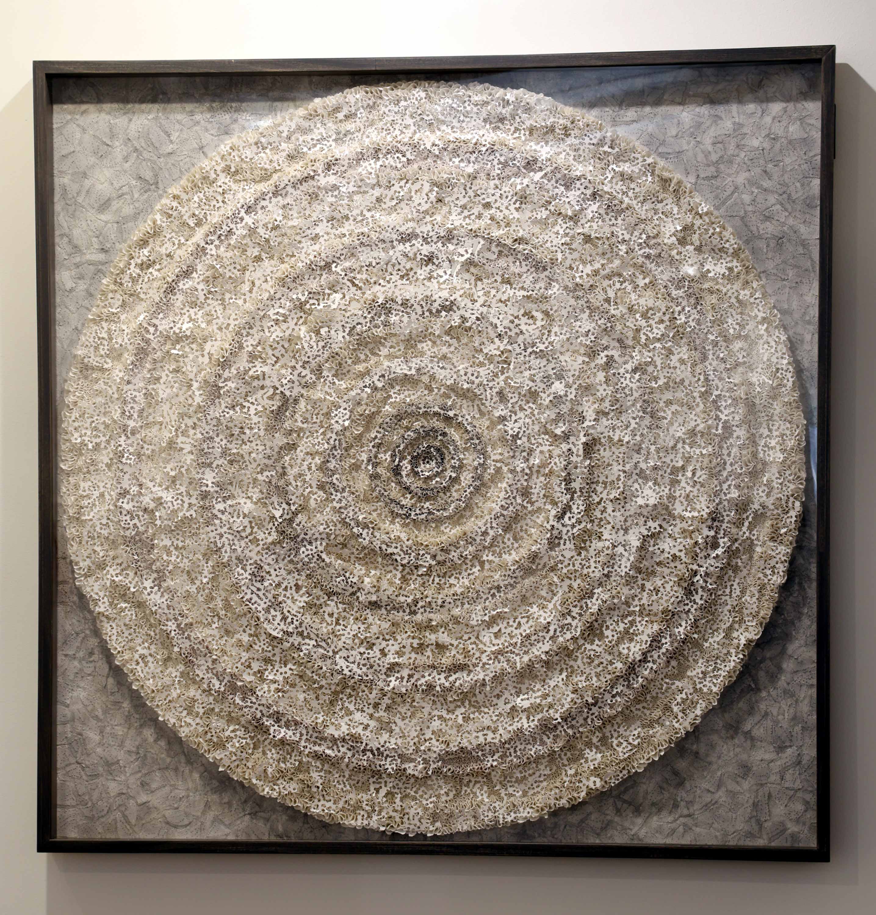 The cycle of nature Archival paper and ink on plywood